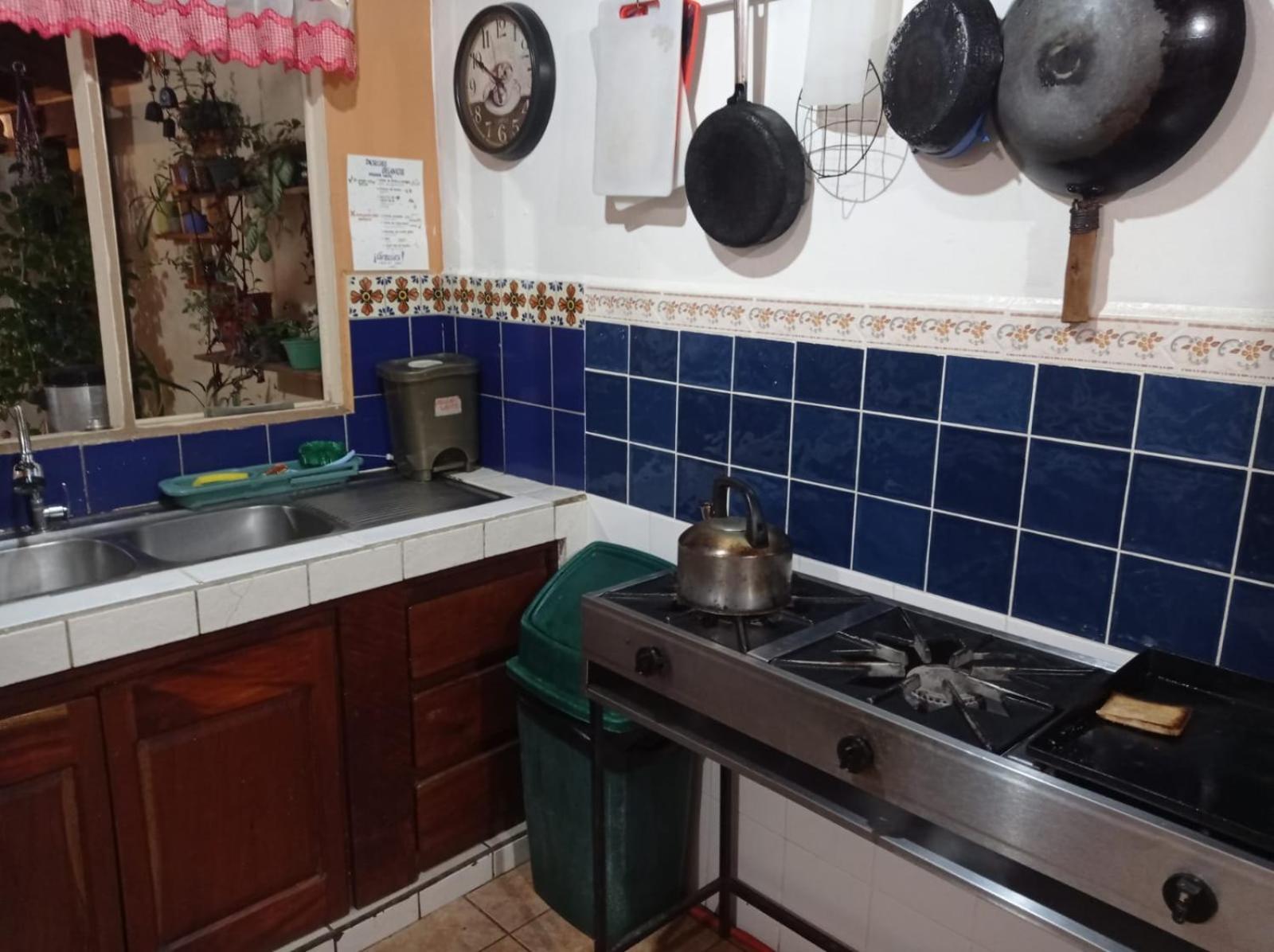 Hostel Casa Ridgway San Jose  Ngoại thất bức ảnh
