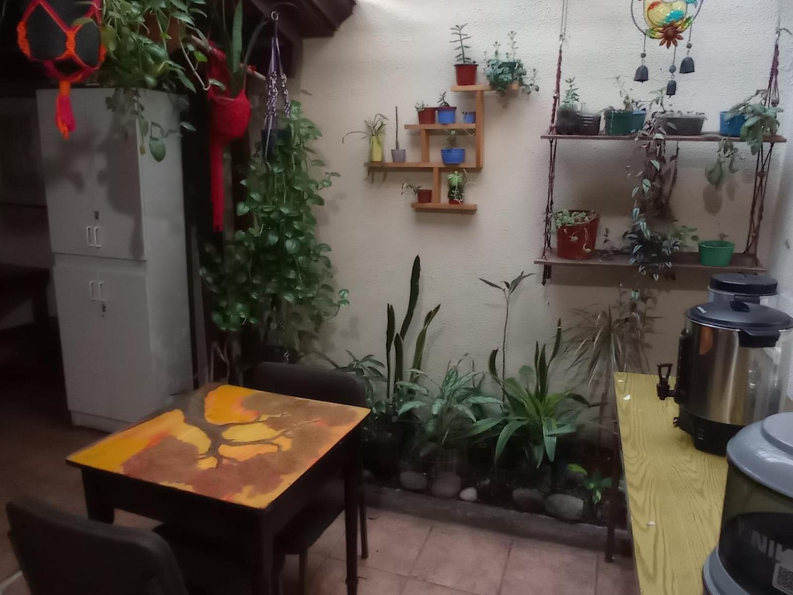 Hostel Casa Ridgway San Jose  Ngoại thất bức ảnh