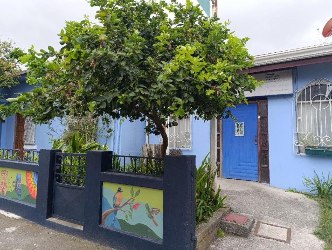Hostel Casa Ridgway San Jose  Ngoại thất bức ảnh